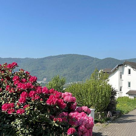 Ferienwohnung Rhein-Panorama Ланштайн Экстерьер фото