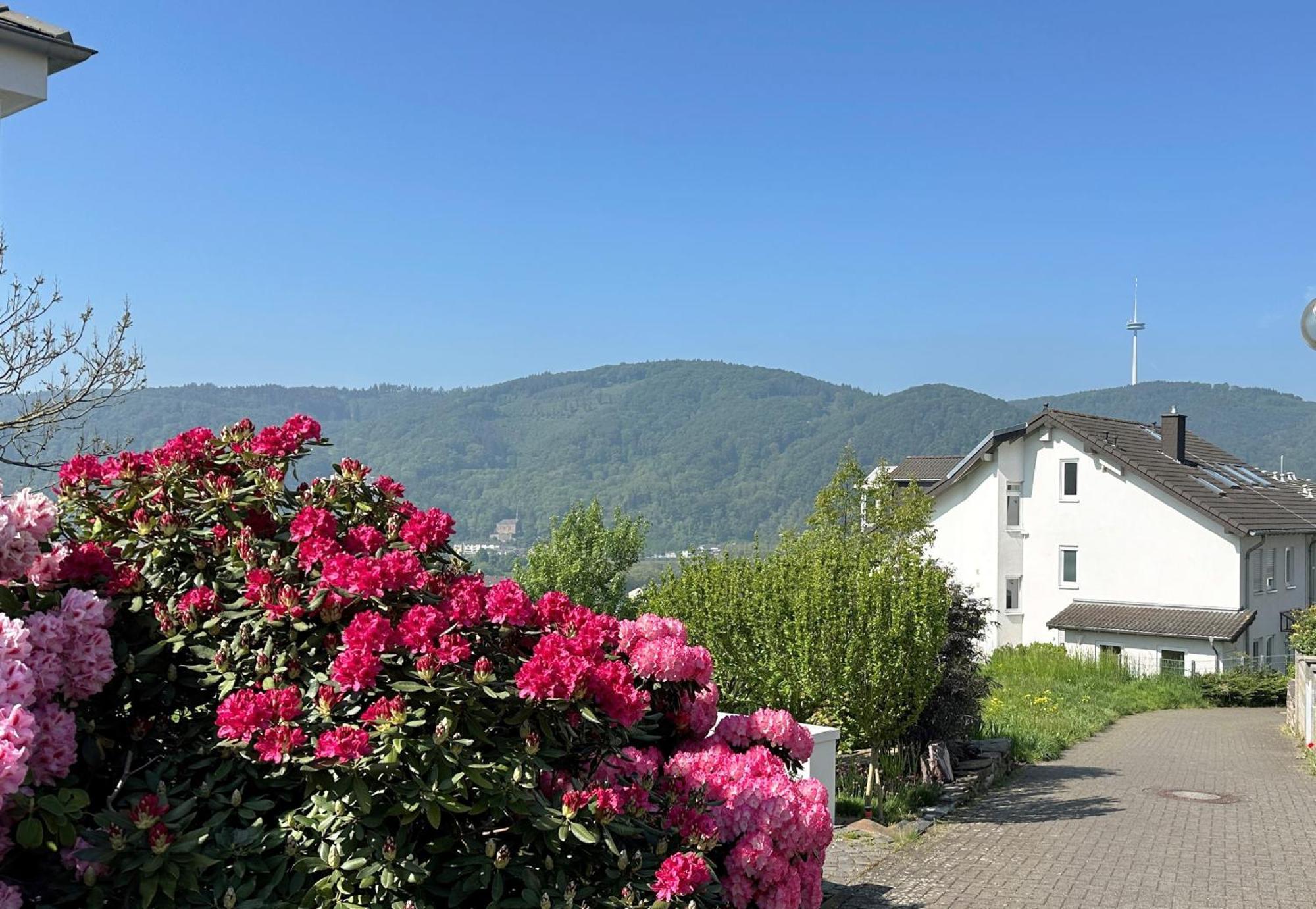 Ferienwohnung Rhein-Panorama Ланштайн Экстерьер фото