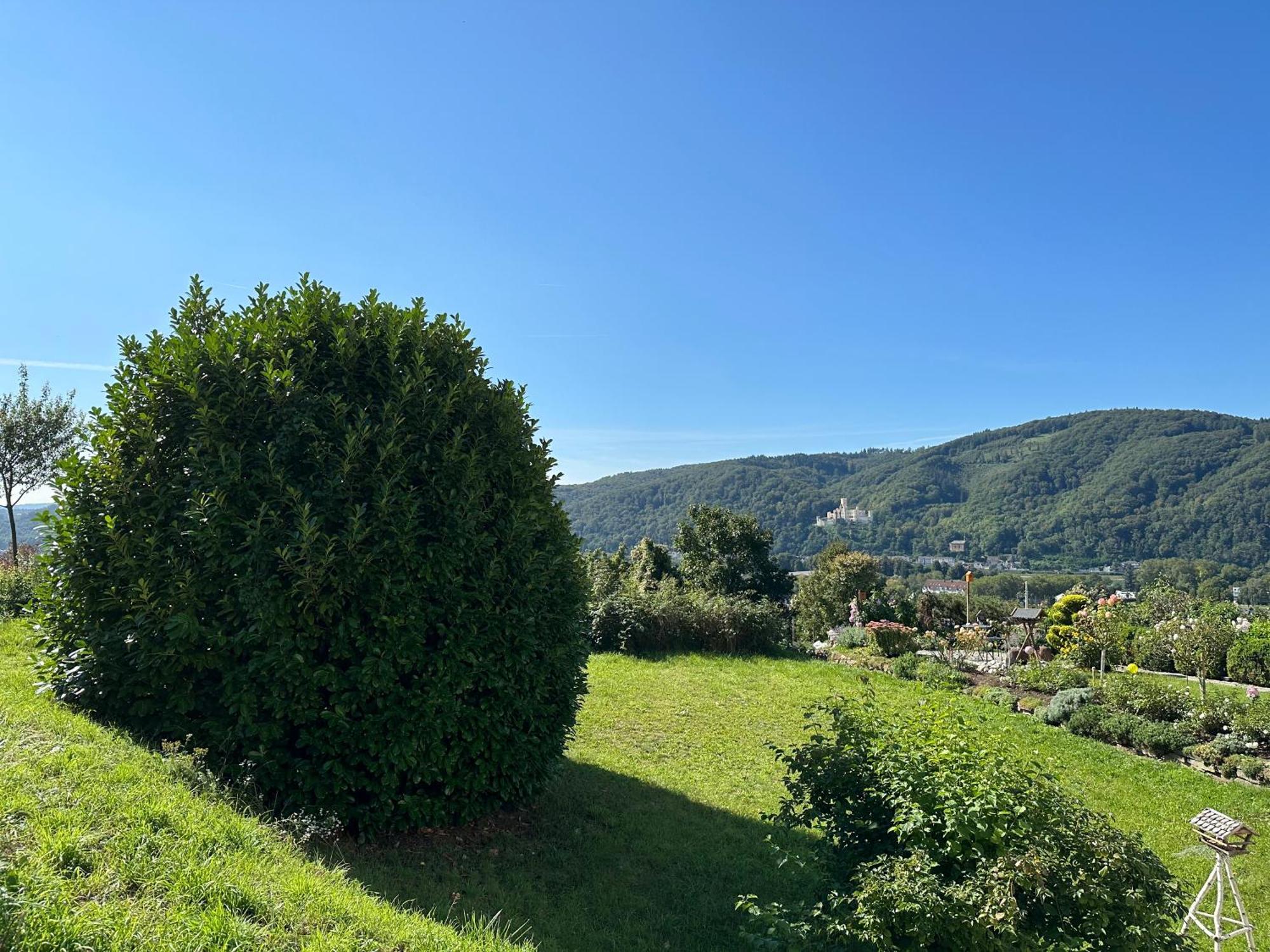 Ferienwohnung Rhein-Panorama Ланштайн Экстерьер фото